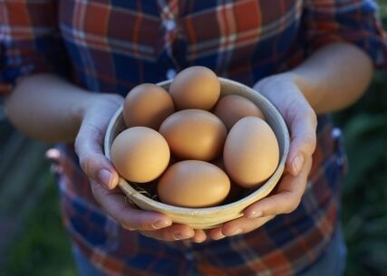 a csirke tojás előnyei