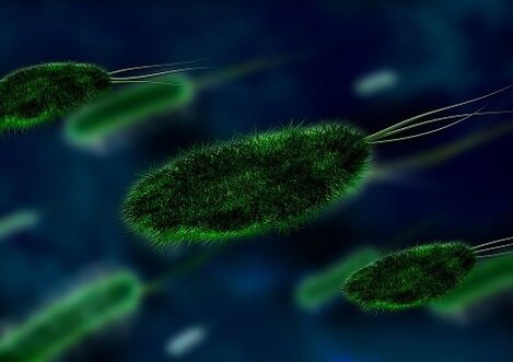 a gyomorhurut oka egy baktérium - Helicobacter